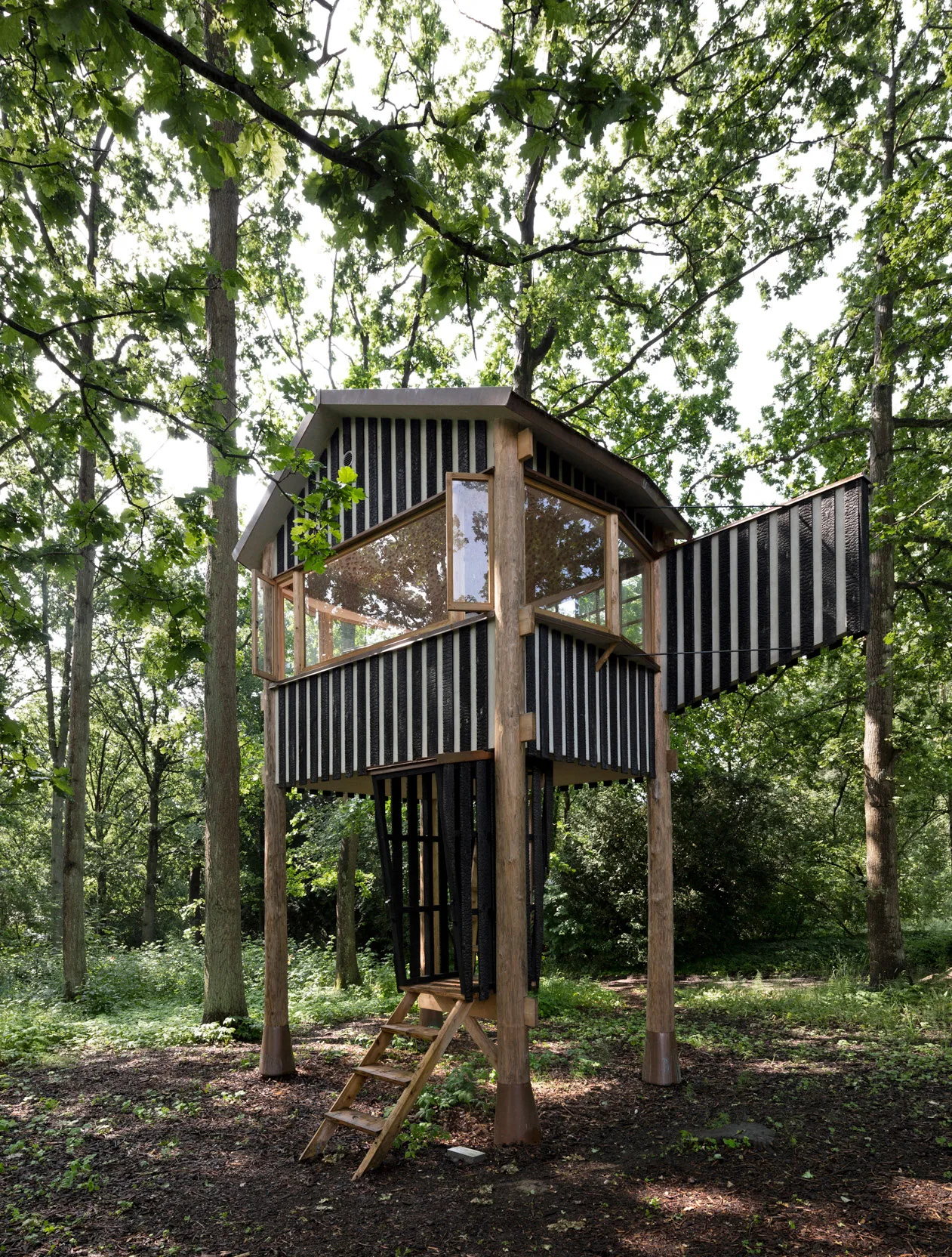 Tree Houses